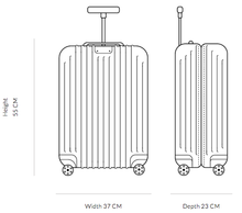 Load image into Gallery viewer, SUITCASE *